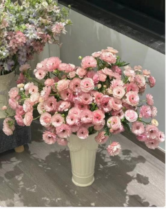 蝴蝶洋牡丹
