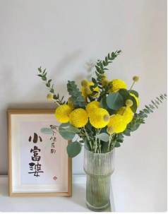 黄金球