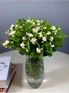 茉莉花