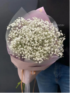 gypsophila branch