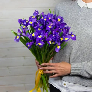 Irises