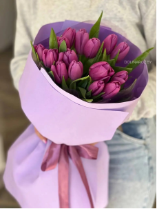 Tulips
