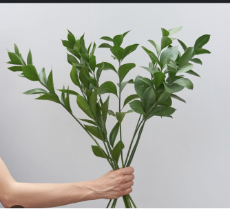 Ranunculus
