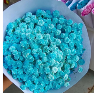 Babysbreath-blue