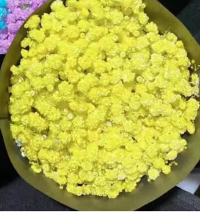 Babysbreath-yellow